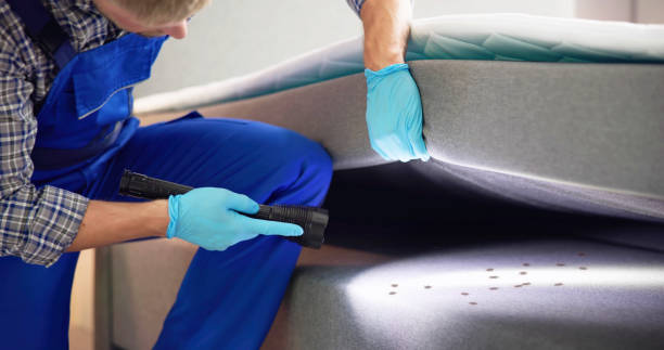 Best Bed Bug Extermination  in Ack, NY