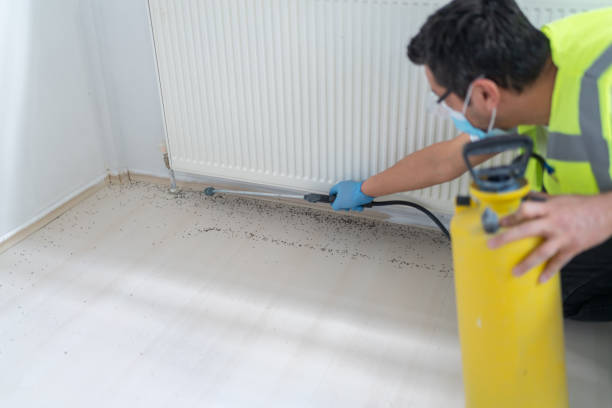 Best Affordable Pest Control Services  in Ack, NY