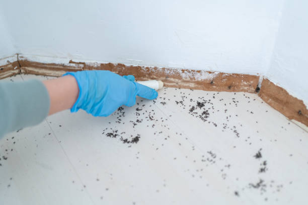 Best Best Pest Control Companies  in Ack, NY