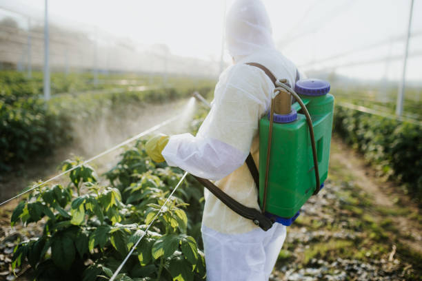 Pest Control for Restaurants in Nyack, NY